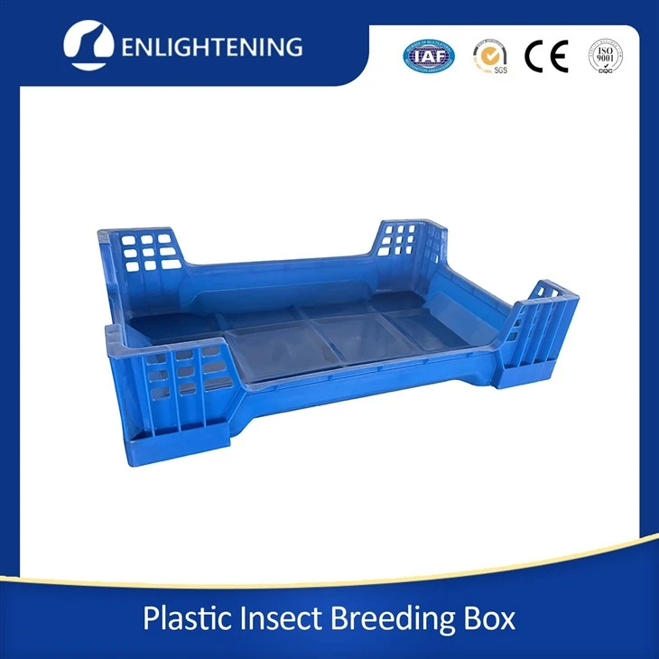 BSF BREEDING BOX supplier