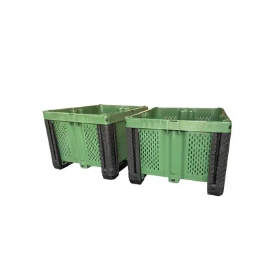 Bosca Pailléid Apple Hibrid Righin Plaisteacha